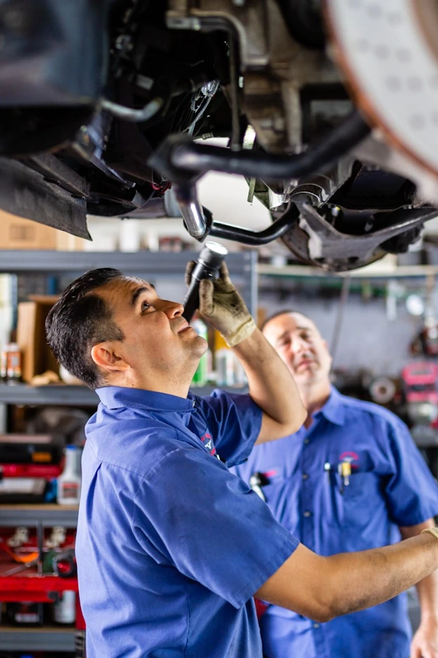 Service image